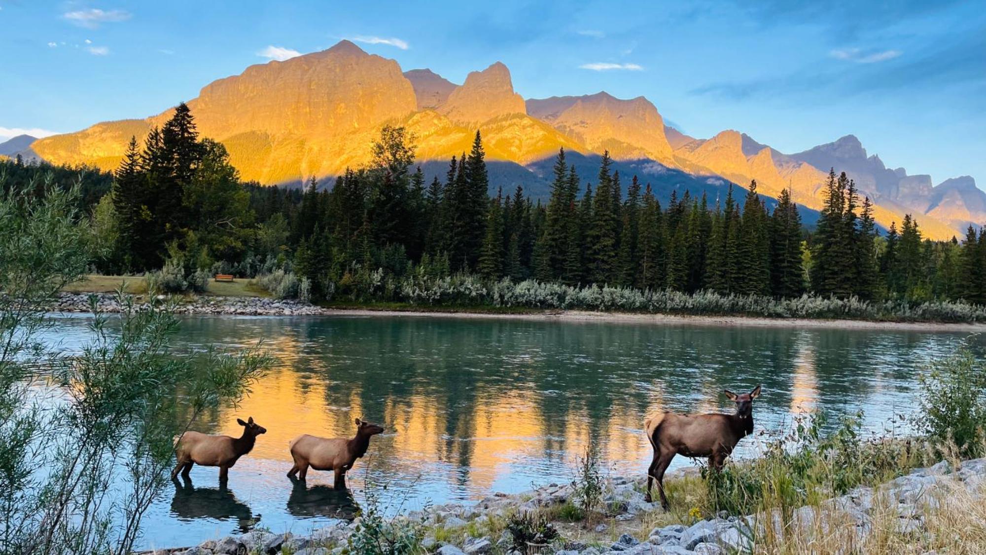 Unit #302 Mountain View 2 Beds In Dt Apartamento Canmore Exterior foto